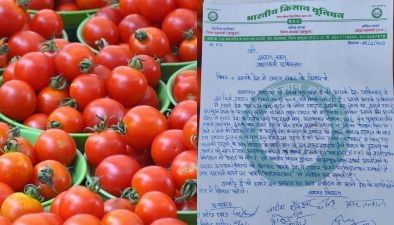 ખેડૂતોની પત્ર દ્વારા પાકિસ્તાનને ઓફર, ટામેટા લઈ જાઓ અને PoK આપી દો