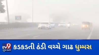 VIDEO: અમદાવાદમાં કડકડતી ઠંડી વચ્ચે વહેલી સવારે ગાઢ ધુમ્મસ, વાહન ચાલકોને મુશ્કેલી