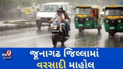 VIDEO: જૂનાગઢ જિલ્લામાં વરસાદી માહોલ, ખેડૂતોના શિયાળાના પાક પર પણ ફરી વળ્યું પાણી