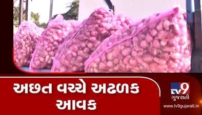 ગરીબોની કસ્તુરી ગણાતી ડુંગળીના ભાવ આસમાને....બીજી તરફ માર્કેટયાર્ડમાં ડુંગળીની અઢળક આવક