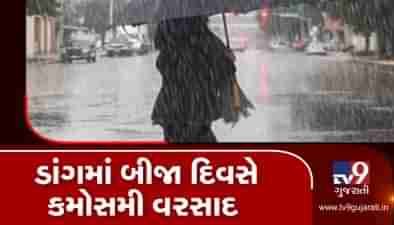 VIDEO: દક્ષિણ ગુજરાતના અનેક જિલ્લામાં કમોસમી વરસાદ, ખેડૂતોની ચિંતામાં વધારો
