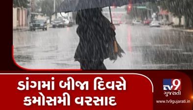 VIDEO: દક્ષિણ ગુજરાતના અનેક જિલ્લામાં કમોસમી વરસાદ, ખેડૂતોની ચિંતામાં વધારો