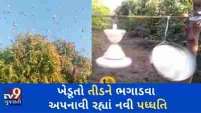 VIDEO: લાખણી, ડીસા, પાલનપુરમાં તીડના ઝૂંડ પહોંચ્યા, ખેડૂતો તીડને ભગાવવા અપનાવી રહ્યાં છે નવી પધ્ધતિ