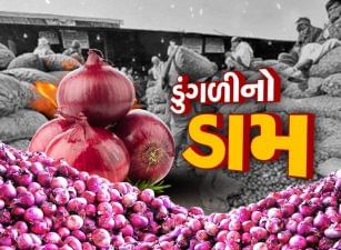 VIDEO: ગોંડલ માર્કેટ યાર્ડમાં ડુંગળીની સારી આવક, ભાવ સારા મળતાં યાર્ડમાં ખેડૂતો વેચાણ માટે ઉમટ્યાં
