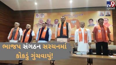 ભાજપ સંગઠન સરચનમાં વિલંબ: મહારાષ્ટ્રના પરિણામોની ગુજરાત પર અસર, સંગઠનનું કોકડું ગુંચવાયું