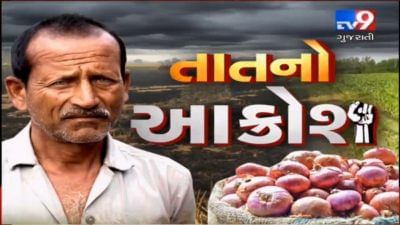 જગતના તાતની આંખમાં આંસુઃ ભાવનગરમાં ડુંગળીના પાકમાં નુકસાન થતા ખેડૂતોને રડવાનો આવ્યો વખત