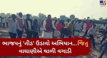 VIDEO: બનાસકાંઠામાં ભાજપનું તીડ ઉડાવો અભિયાન...ગુજરાત પ્રદેશ પ્રમુખ જિતુ વાઘાણીએ થાળી વગાડી