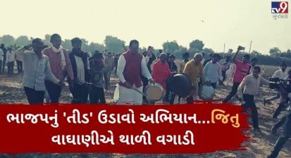 VIDEO: બનાસકાંઠામાં ભાજપનું 'તીડ' ઉડાવો અભિયાન...ગુજરાત પ્રદેશ પ્રમુખ જિતુ વાઘાણીએ થાળી વગાડી