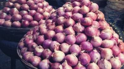 ભરુચમાં 140 રૂપિયા સુધી પહોંચ્યા ડુંગળીના ભાવ, લોકોએ લીલી ડુંગળીને બનાવ્યો ભોજનનો વિકલ્પ