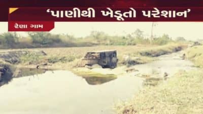 મુખ્ય કેનાલમાં છોડાતું પાણી માઇનોર કેનાલમાં પડેલા ગાબડાના કારણે ખેતર સુધી પહોંચ્યું