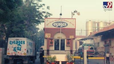 સુરત જિલ્લાના પશુપાલકો માટે ખુશખબર, સુમુલ ડેરીએ કિલો ફેટ દીઠ દૂધના ભાવમાં કર્યો વધારો