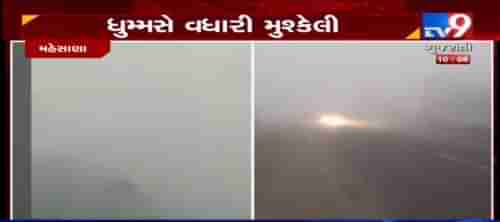 VIDEO: કચ્છ, સૌરાષ્ટ્રમાં કાતિલ ઠંડીનું મોજુ યથાવત, ઉત્તર ગુજરાતમાં ગાઢ ધુમ્મસની ચાદર છવાઈ