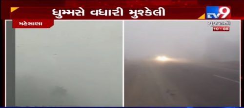VIDEO: કચ્છ, સૌરાષ્ટ્રમાં કાતિલ ઠંડીનું મોજુ યથાવત, ઉત્તર ગુજરાતમાં ગાઢ ધુમ્મસની ચાદર છવાઈ