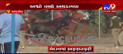 VIDEO: રાજકોટમાં અશ્વ યુદ્ધ ! અશ્વ શૉ દરમિયાન બે અશ્વો બાખડ્યા, મેદાનમાં મચી ગઈ અફરાતફરી