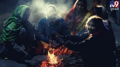 કચ્છમાં કાતિલ ઠંડીનું જોર યથાવત્, ભુજમાં સર્વાધિક 9 ડિગ્રી તાપમાન નોંધાયું