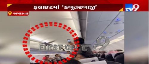 VIDEO: અમદાવાદ એરપોર્ટ પર ચોંકાવનારી ઘટના, બે કબૂતરોએ વિમાનમાં મચાવ્યું તોફાન