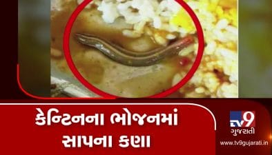 VIDEO: ભોજનમાં ઝેર! કોલેજની કેન્ટિનના ભોજનમાંથી નીકળ્યા સાપના કણા
