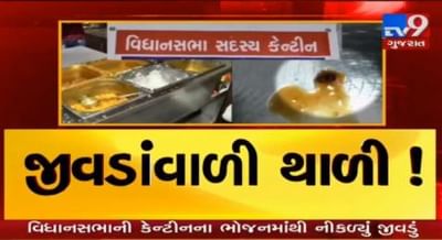 ગુજરાત વિધાનસભાની કેન્ટીનમાં ભોજન સાથે જીવાત...પીરસાયેલી દાળમાંથી નીકળ્યું જીવડું
