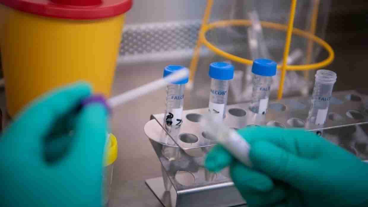 વિશ્વ કોરોના વાઈરસની રસીની રાહ જોઈ રહ્યું છે ત્યારે આ 2 કંપની આપી શકે છે ખુશખબર
