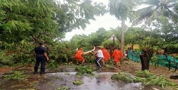 'નિસર્ગ' વાવાઝોડું: મુંબઈમાં અનેક સ્થળે વૃક્ષો ધરાશાયી, નિચાણવાળા વિસ્તારોમાં રહેતા લોકોનું સ્થળાંતર