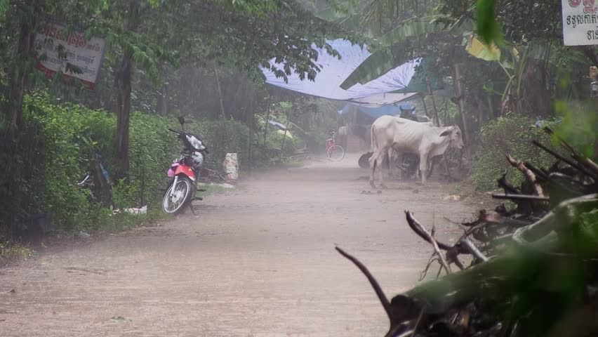 VIDEO: રાજ્યમાં વરસાદી માહોલ રહેશે યથાવત, 12 અને 13 જુલાઈએ ભારે વરસાદની હવામાન વિભાગની આગાહી