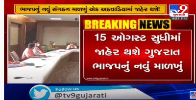 ગુજરાત ભાજપનું નવુ પ્રદેશ માળખુ 15 ઓગસ્ટ સુધીમાં જાહેર થશે