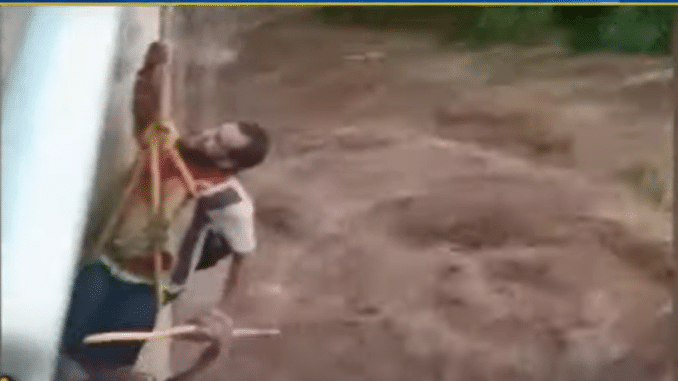 જૂનાગઢ: સોનરખ નદીના ઘોડાપૂમાં ફસાયો એક યુવાન, જુઓ VIDEO