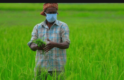 PM ખેડૂત સન્માન નિધિ સ્કીમનો છઠ્ઠો હપ્તો,આવા પરિવારોનાં અનેક લોકો લઈ શકે છે ફાયદો,વાંચો શું જરૂરી છે આ સ્કીમનો લાભ ઉઠાવવા