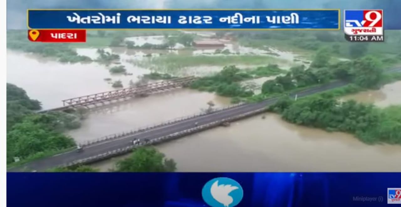 જુઓ ડ્રોનના વિઝ્યુલ્સઃ પાદરાની ઢાઢર નદીમાં પૂર, નદીના પાણી ખેતરોમાં ફરી ...