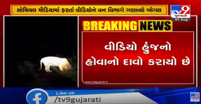 વાઘ આવ્યો રે વાઘ,હિંમતનગરના હુંજ ગામે વાઘ આવ્યો હોવાનો વીડિયો વાયરલ,વન વિભાગે કહ્યું ખોટી વાત