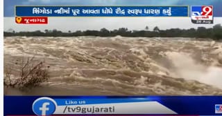 ગીરના જંગલમાં પાણીના પ્રચંડ પ્રવાહ સાથે વહેતો જમજીરનો ધોધ