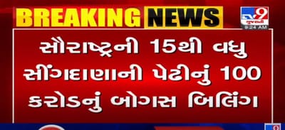 VIDEO: સૌરાષ્ટ્રની 15થી વધુ સીંગદાણાની પેઢીનું 100 કરોડનું બોગસ બિલિંગ, અમદાવાદ જીએસટીની એન્ફોર્સમેન્ટ ટીમે પાડયા દરોડા