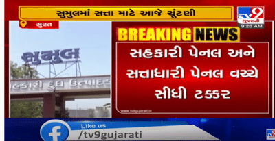 સુમુલ ડેરીની સત્તા માટે ચૂંટણી જંગ, 14 બેઠકો માટે 31 ઉમેદવાર ચૂંટણી મેદાનમાં
