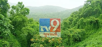 ભરૂચના રિઝર્વ ફોરેસ્ટમાં મળી આવ્યા બે નવા ધોધ, વનવિભાગે બંને ધોધને પ્રવાસન સ્થળ બનાવવાના પ્રયાસ શરૂ કર્યા