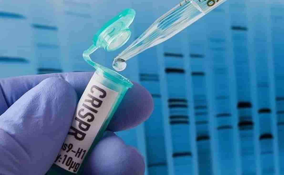 CRISPR ટેસ્ટને મંજૂરી, ઓછા સમયમાં ચોક્કસ પરિણામ આપશે આ કોવિડ 19 ટેસ્ટ