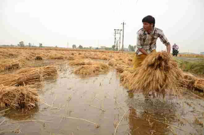 ખેડૂતો માટે સરકારની મોટી જાહેરાત, વરસાદના કારણે 33% થી વધુ નુકસાન થયું હશે તેને મળશે સહાય