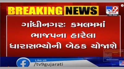 પેટાચૂંટણીને લઈ ભાજપ એક્શનમાં, કમલમ્ ખાતે ભાજપનાં હારી ગયેલા ધારાસભ્યોને તેડુ, પ્રદેશ પ્રમુખ પાટીલ કરશે બેઠક, 30 પૂર્વ ધારાસભ્ય બેઠકમાં હાજર રહી શકે છે