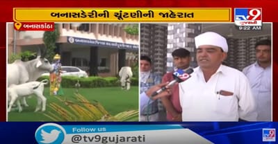 એશિયાની સૌથી મોટી બનાસ ડેરીની ચૂંટણી જાહેર, સહકારી ક્ષેત્રમાં ગરમાવો,પશુપાલકો અપેક્ષા રાખી રહ્યા છે કે, નિયામક મંડળ દૂધના યોગ્ય ભાવ આપે અને ડેરીનો વિકાસ અવિરત આગળ ધપાવતા રહે