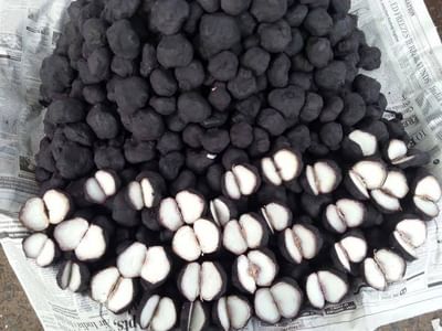 પાણીમાં થતાં ઔષધીય છોડ 'શિંગોડા'ના જાણો ફાયદા