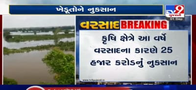 VIDEO: ભારે વરસાદના કારણે રાજ્યભરમાં ખેડૂતોને નુકસાન, કૃષિ ક્ષેત્રે 82.98 લાખ હેક્ટર જમીનમાં 25 હજાર કરોડનું નુકસાન