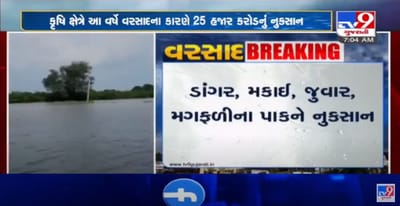 ભારે વરસાદથી 82.88 લાખ હેકટરમાં ખેતીક્ષેત્રે 25 હજાર કરોડનું નુકસાન, ખેડૂતોને સહાય કરવા વિપક્ષની માંગ