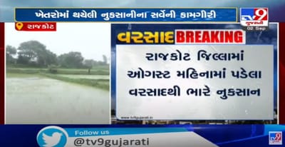 રાજકોટ જિલ્લામાં ભારે વરસાદના કારણે ખેતરોમાં નુકસાન,ખેડુતોની મદદે આવી સરકાર,ખેતરોમાં થયેલા નુકસાનીનો સર્વે કરવા 32થી વધુ ટીમની રચના કરાઈ