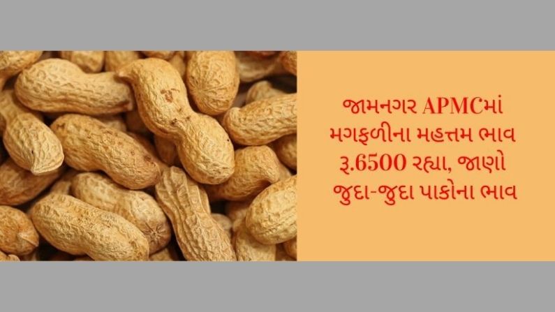 ખેડૂત મિત્રો માટે ગુજરાતના પાકોના ભાવ વિશેની માહિતી, APMC વિશેની માહિતી દરરોજ અમે તમને આપીશું