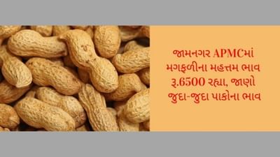 ખેડૂત મિત્રો માટે ગુજરાતના પાકોના ભાવ વિશેની માહિતી, APMC વિશેની માહિતી દરરોજ અમે તમને આપીશું