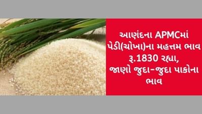 આણંદના APMCમાં ચોખાના મહત્તમ ભાવ રૂ.1830 રહ્યા, ગુજરાતના વિવિધ માર્કેટ યાર્ડમાં ભાવોની માહિતી