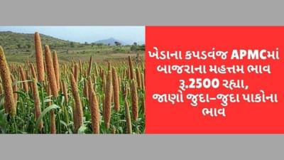 ખેડાના કપડવંજ APMCમાં બાજરાના મહત્તમ ભાવ રૂ.2500 રહ્યા, જાણો ગુજરાતના વિવિધ માર્કેટ યાર્ડમાં ભાવોની માહિતી
