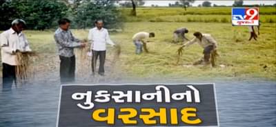 રાજ્યમાં છેલ્લા 2 દિવસથી ભરચોમાસા જેવો માહોલ, સૌરાષ્ટ્રના વિવિધ વિસ્તારમાં ધોધમાર વરસાદથી ખેડૂતોમાં ચિંતા