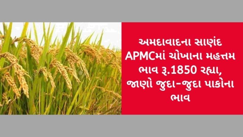 અમદાવાદના સાણંદ APMCમાં ચોખાના મહત્તમ ભાવ રૂ.1850 રહ્યા, જાણો જુદા-જુદા પાકના ભાવ