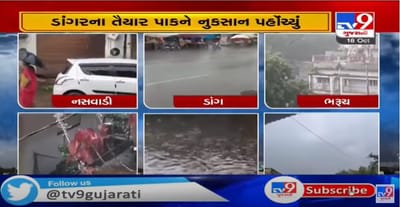 દક્ષિણ ગુજરાતમાં વાતાવરણમાં પલટો, વરસાદથી ડાંગરના તૈયાર પાકને નુકસાન