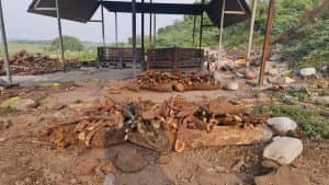 ૩ મહિના બાદ ભરૂચનાં કોવીડ સ્મશાનમાં ચિતાઓ ઠંડી પડી, જાણો શું છે કારણ